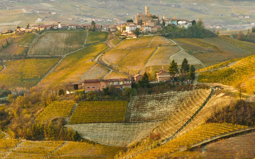 Hotel Langhe & Monferrato Costigliole d'Asti Exterior foto